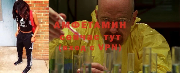 стаф Вязьма