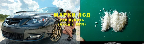 стаф Вязьма