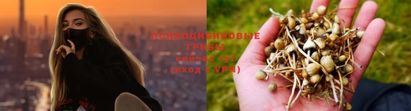 синтетический гашиш Вяземский