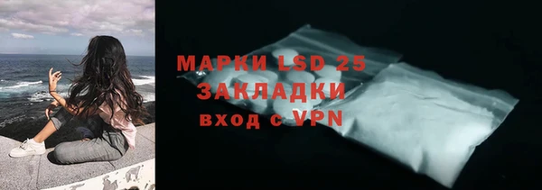 стаф Вязьма