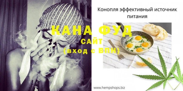 стаф Вязьма