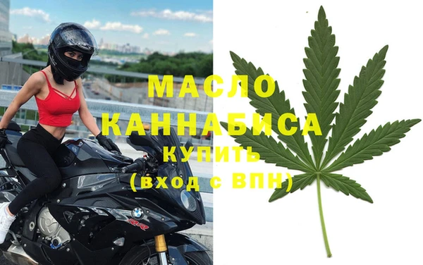 стаф Вязьма