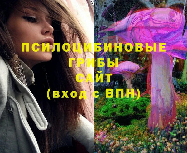 синтетический гашиш Вяземский