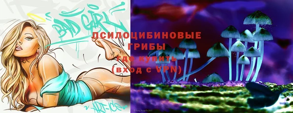 синтетический гашиш Вяземский