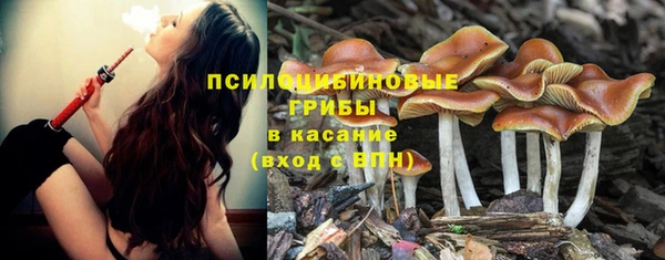 синтетический гашиш Вяземский