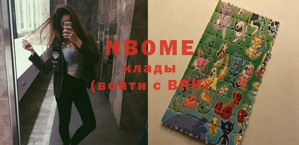 стаф Вязьма