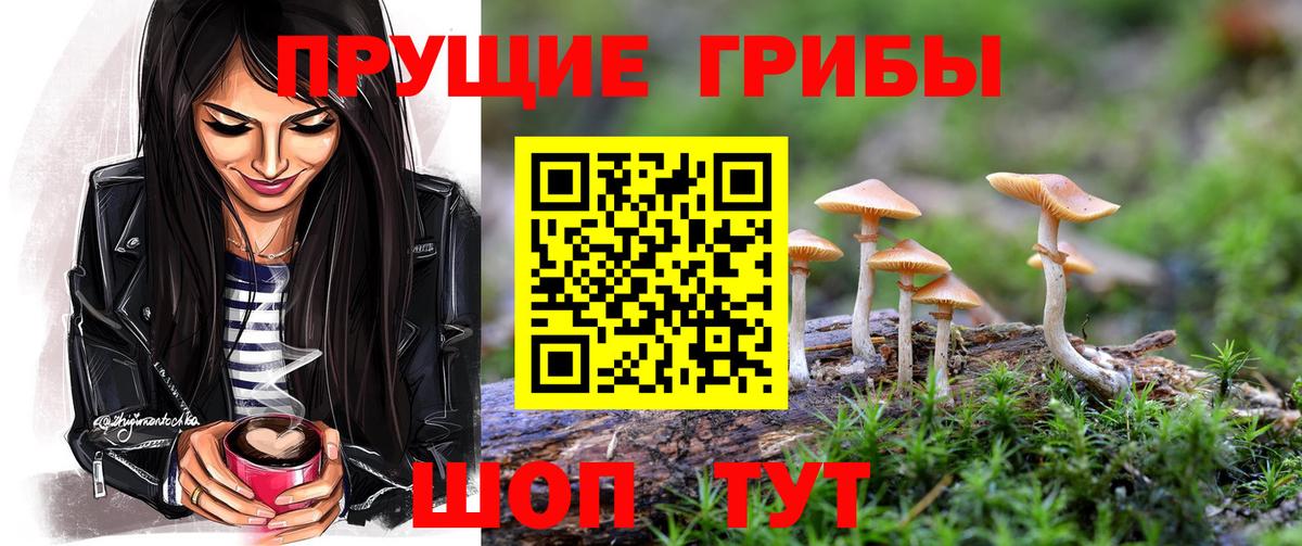 купить   Галлюциногенные грибы GOLDEN TEACHER  Вход с VPN  Раменское 